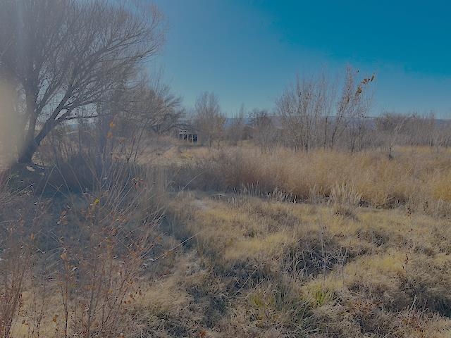 3095 B B 1/2 Road Grand Junction, CO 81503 - Photo 5 of 5 Gallery Image 5