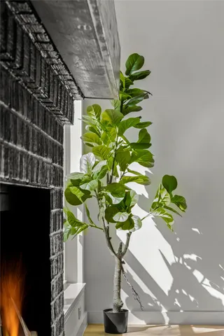 $599,000 | 3507 Lovage Drive, Austin, TX 78727