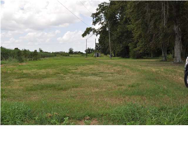 400 Alice B Road Franklin, LA 70538 - Photo 1 of 2 Primary Photo