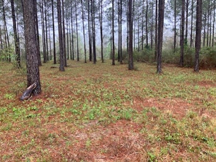 Lot 30 Harbor Road Andalusia, AL 36421 - Photo 5 of 6 Gallery Image 5