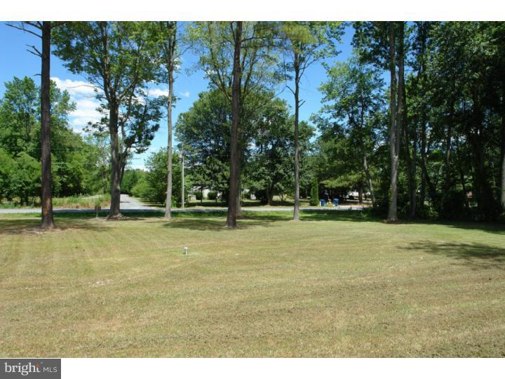 3920 Gun And Rod Club Road Houston, DE 19954 - Photo 2 of 25 Gallery Image 2