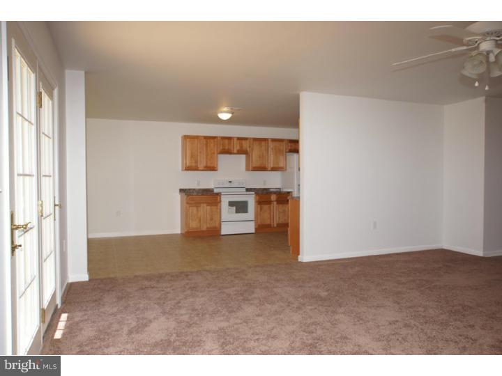 3920 Gun And Rod Club Road Houston, DE 19954 - Photo 13 of 25 Gallery Image 13