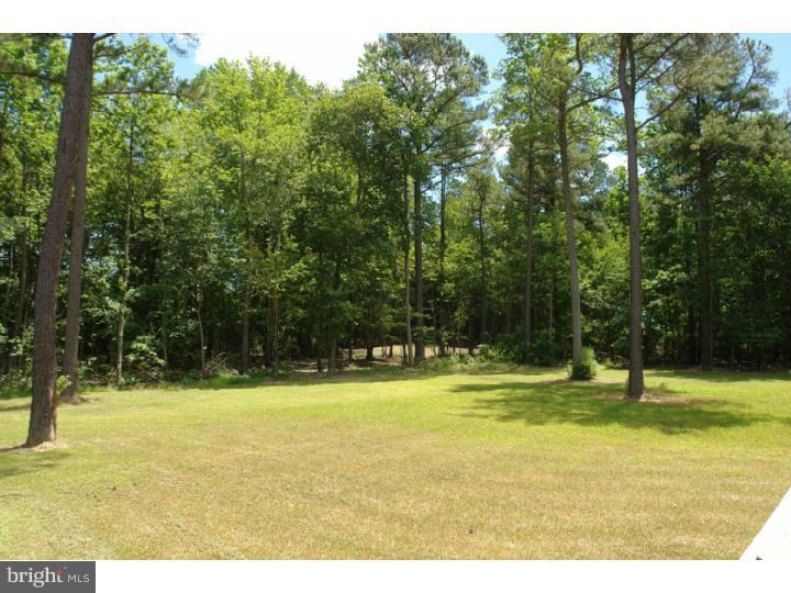 3920 Gun And Rod Club Road Houston, DE 19954 - Photo 25 of 25 Gallery Image 25
