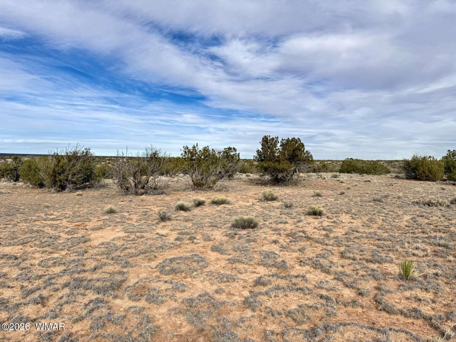 191 Sierra Highlands Road St. Johns, AZ 85936 - Photo 14 of 20
