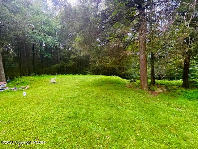 113 Logger Road Canadensis, PA 18325 - Photo 6 of 22 e7