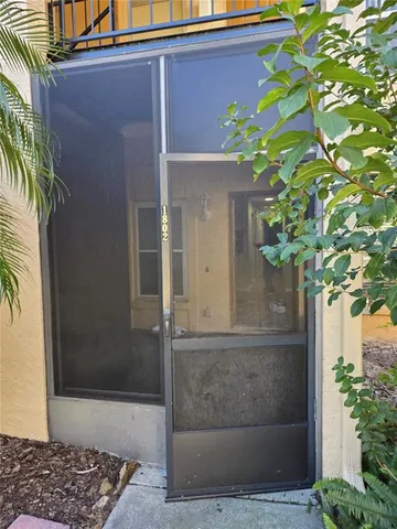 a flower plants in front of a door