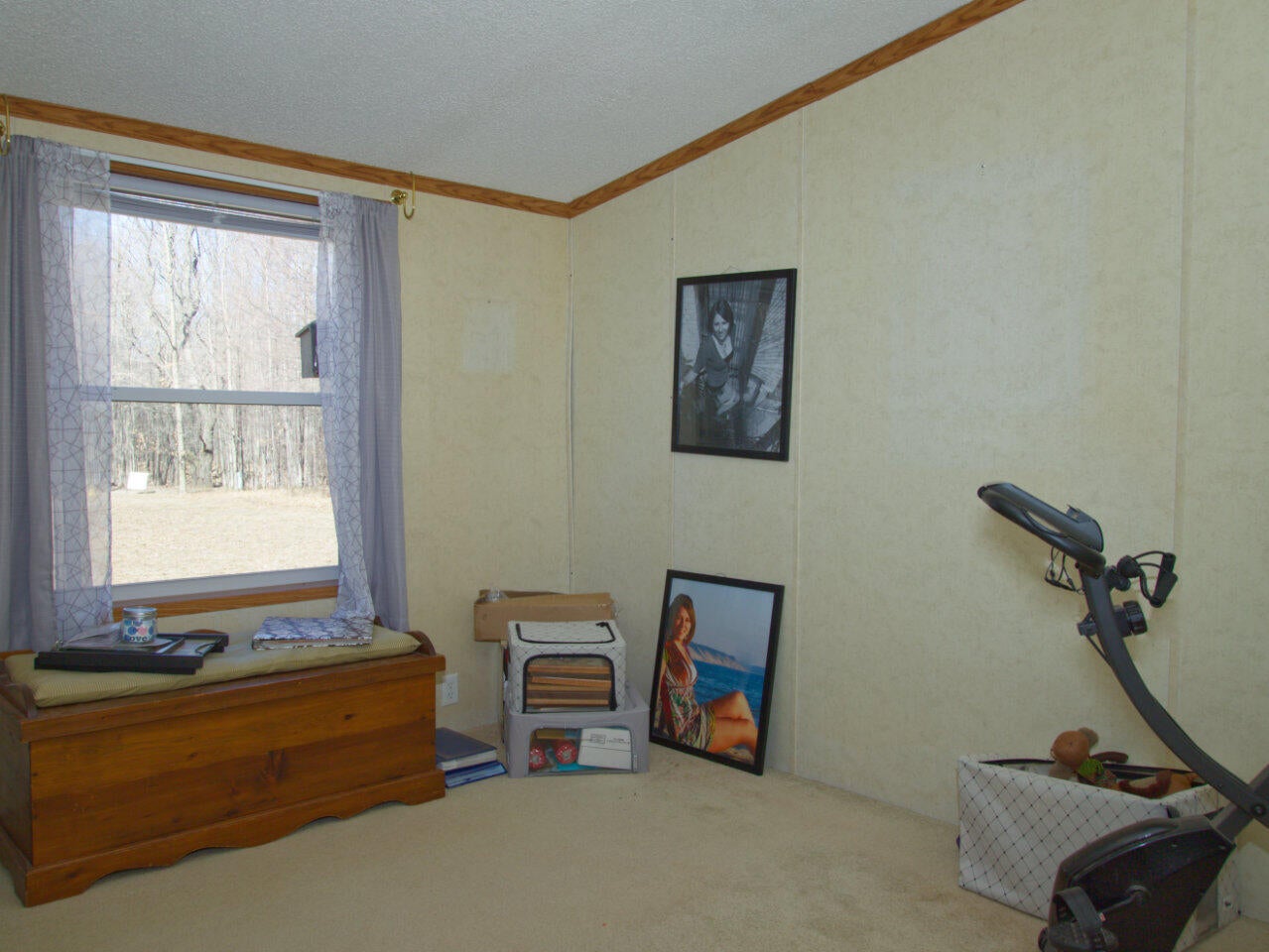 11780 Fewins Road Honor, MI 49640 - Photo 27 of 38 Gallery Image 27