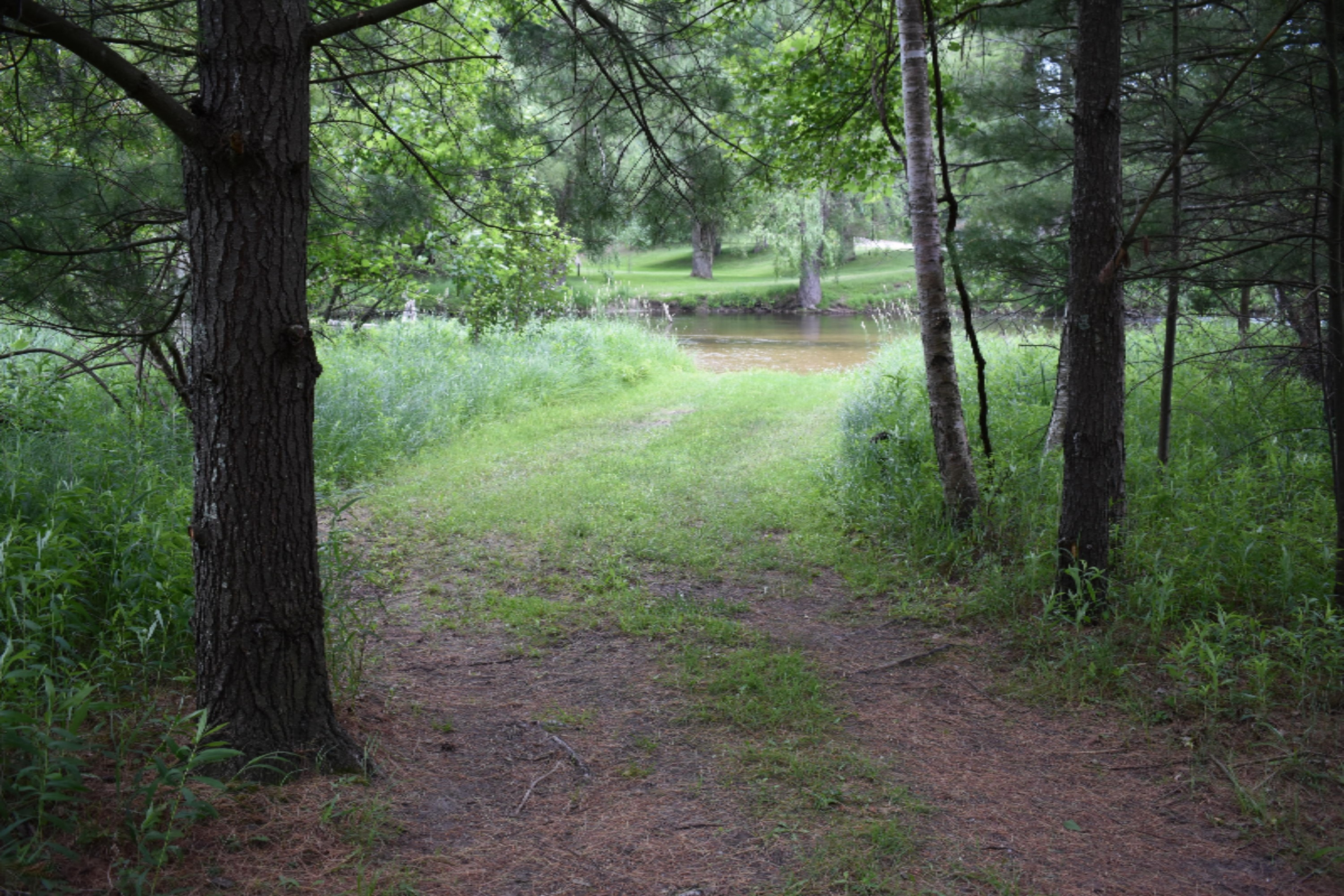 7465 A Road Branch, MI 49402 - Photo 11 of 36 DSC_0601