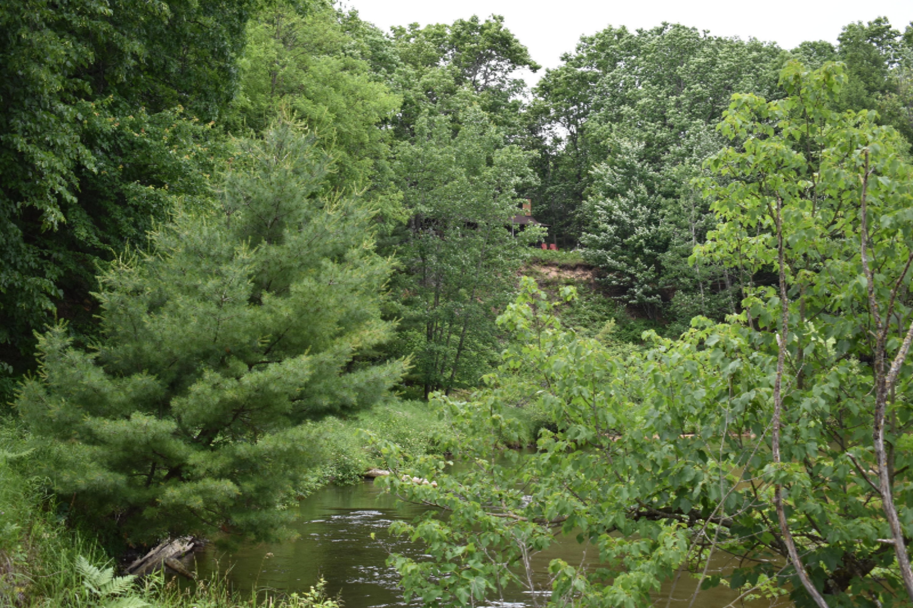 7465 A Road Branch, MI 49402 - Photo 12 of 36 DSC_0600