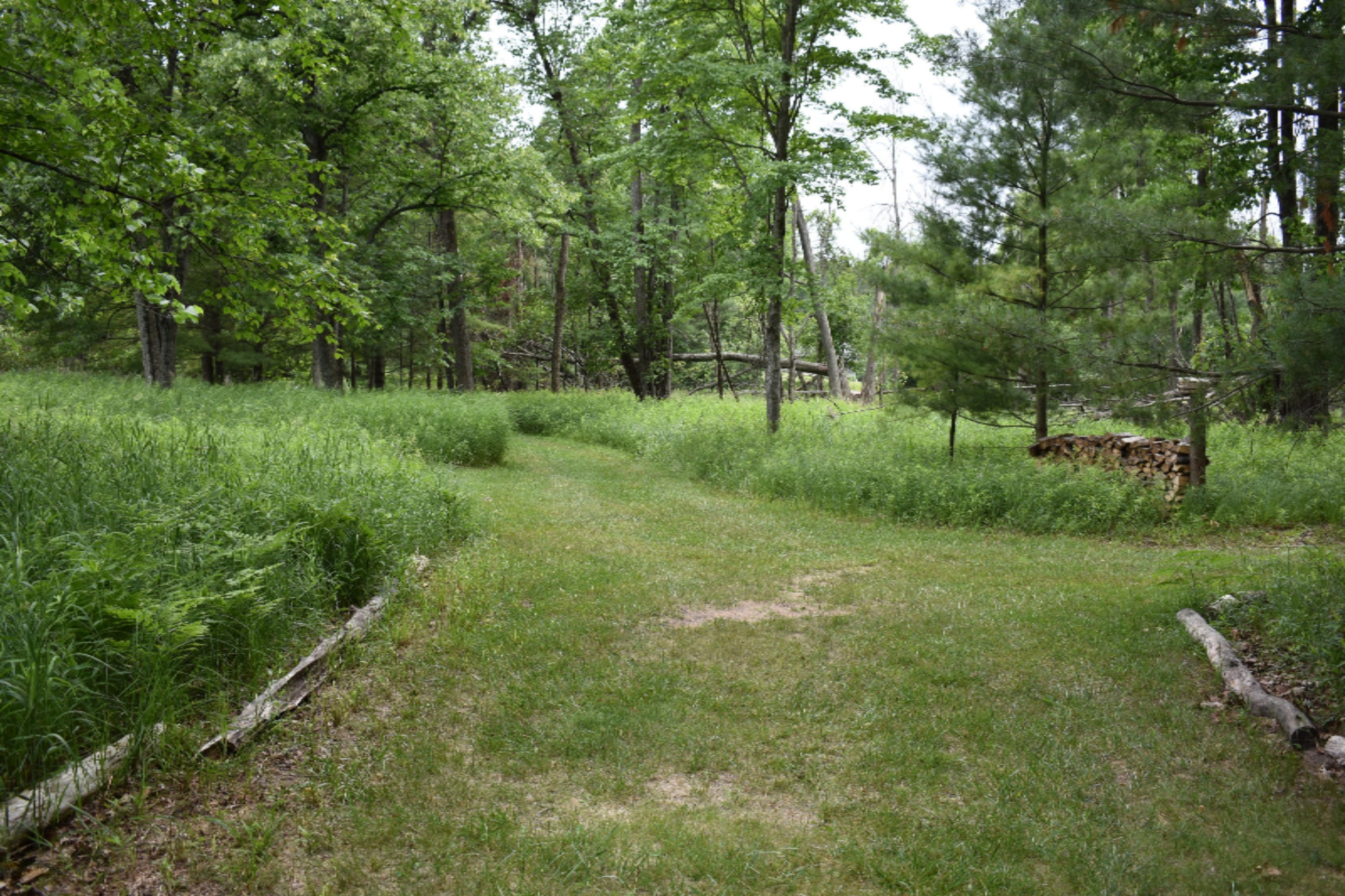 7465 A Road Branch, MI 49402 - Photo 14 of 36 DSC_0598