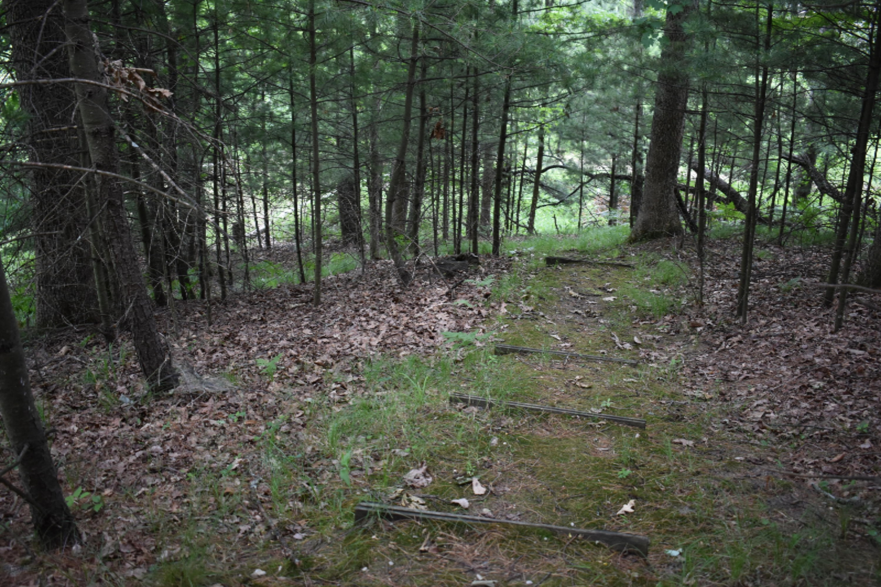 7465 A Road Branch, MI 49402 - Photo 15 of 36 DSC_0597
