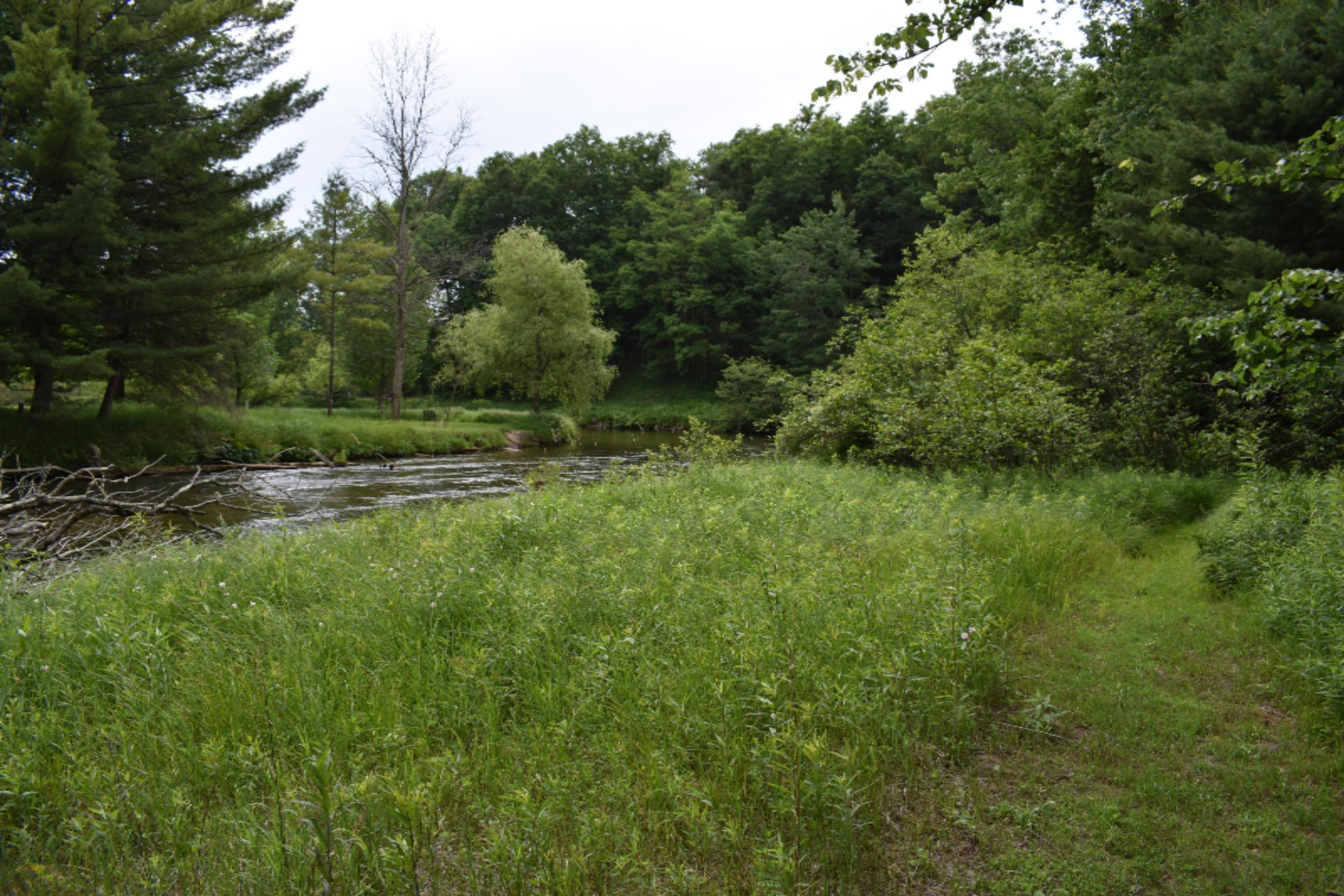 7465 A Road Branch, MI 49402 - Photo 18 of 36 DSC_0595