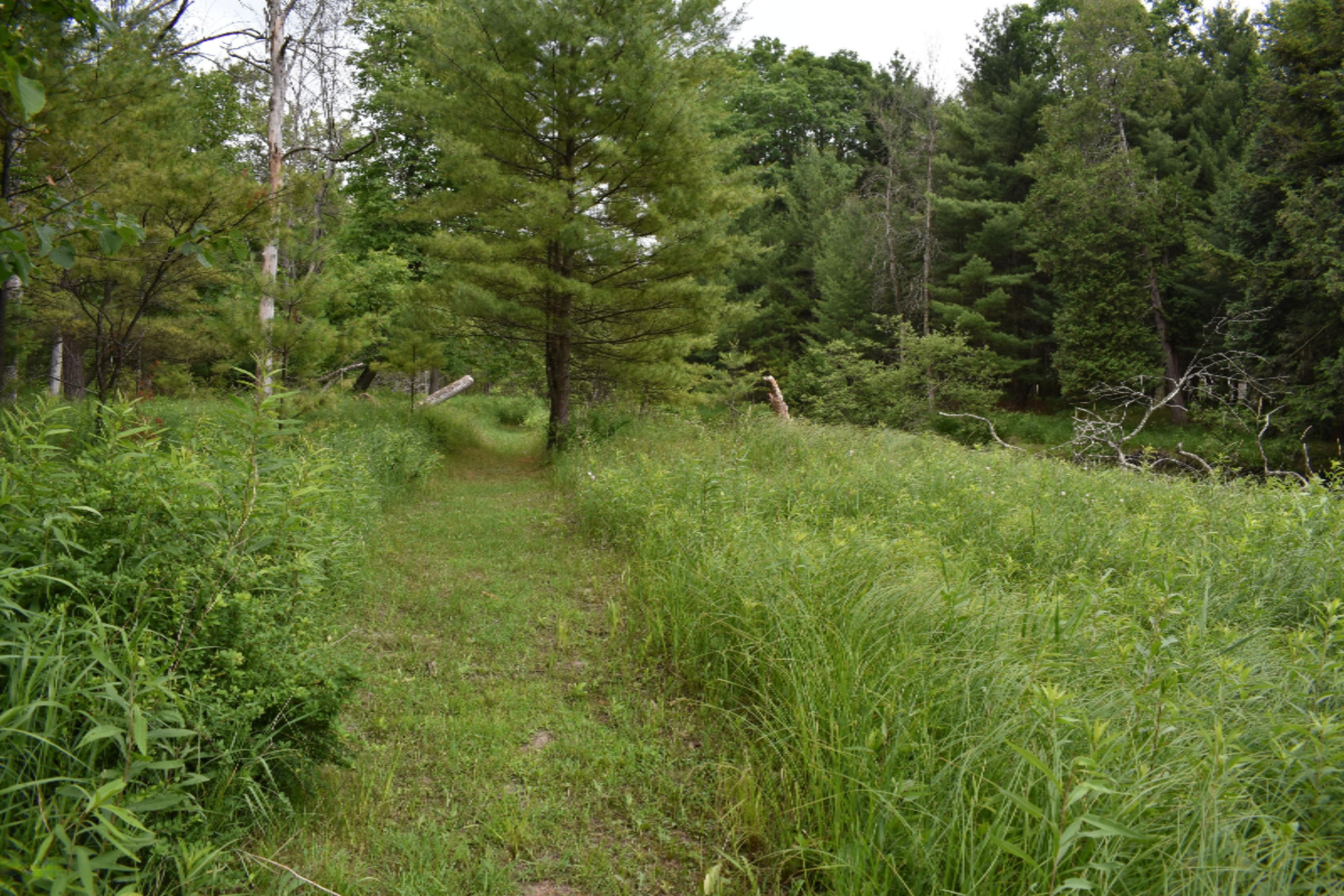 7465 A Road Branch, MI 49402 - Photo 19 of 36 DSC_0594