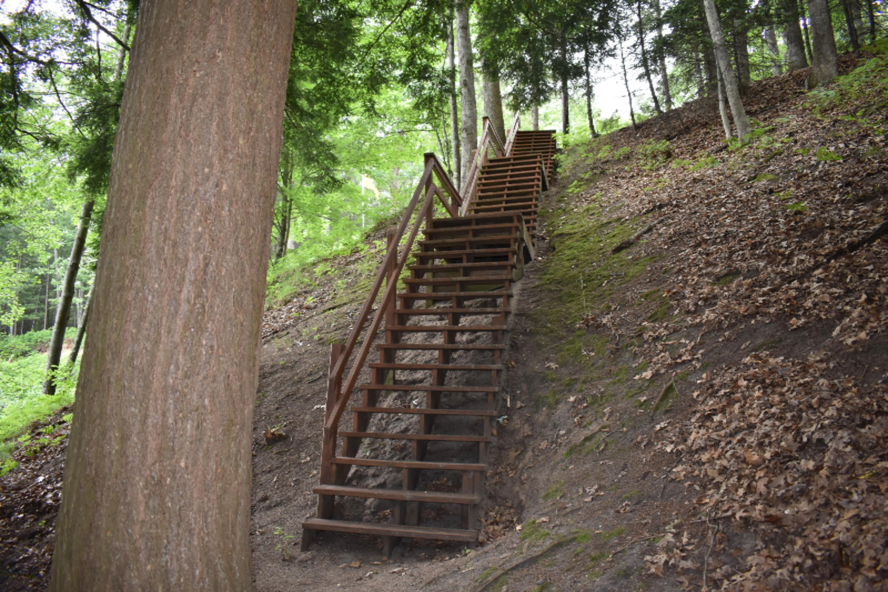 7465 A Road Branch, MI 49402 - Photo 20 of 36 DSC_0593