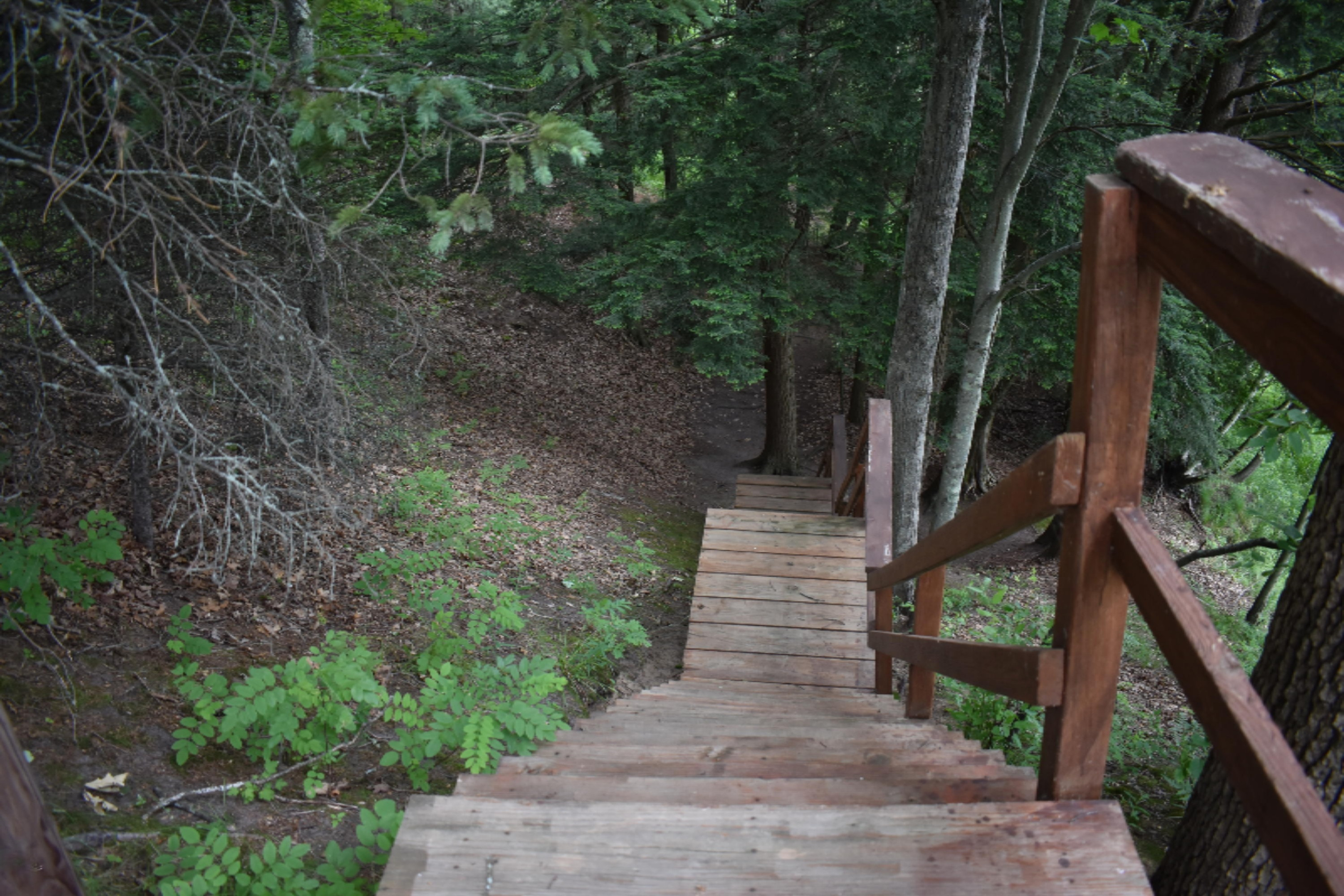 7465 A Road Branch, MI 49402 - Photo 21 of 36 DSC_0574