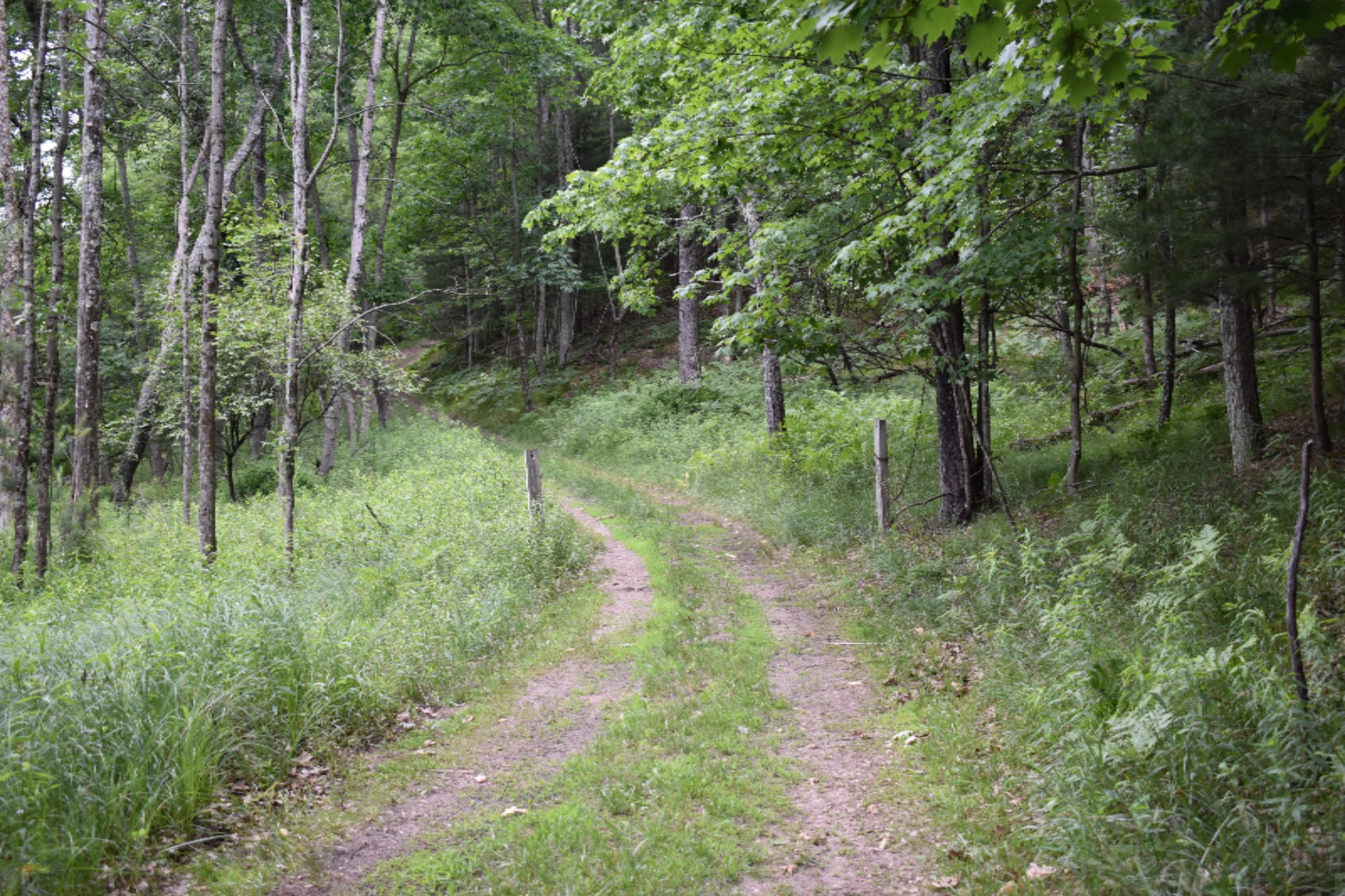 7465 A Road Branch, MI 49402 - Photo 36 of 36 DSC_0604