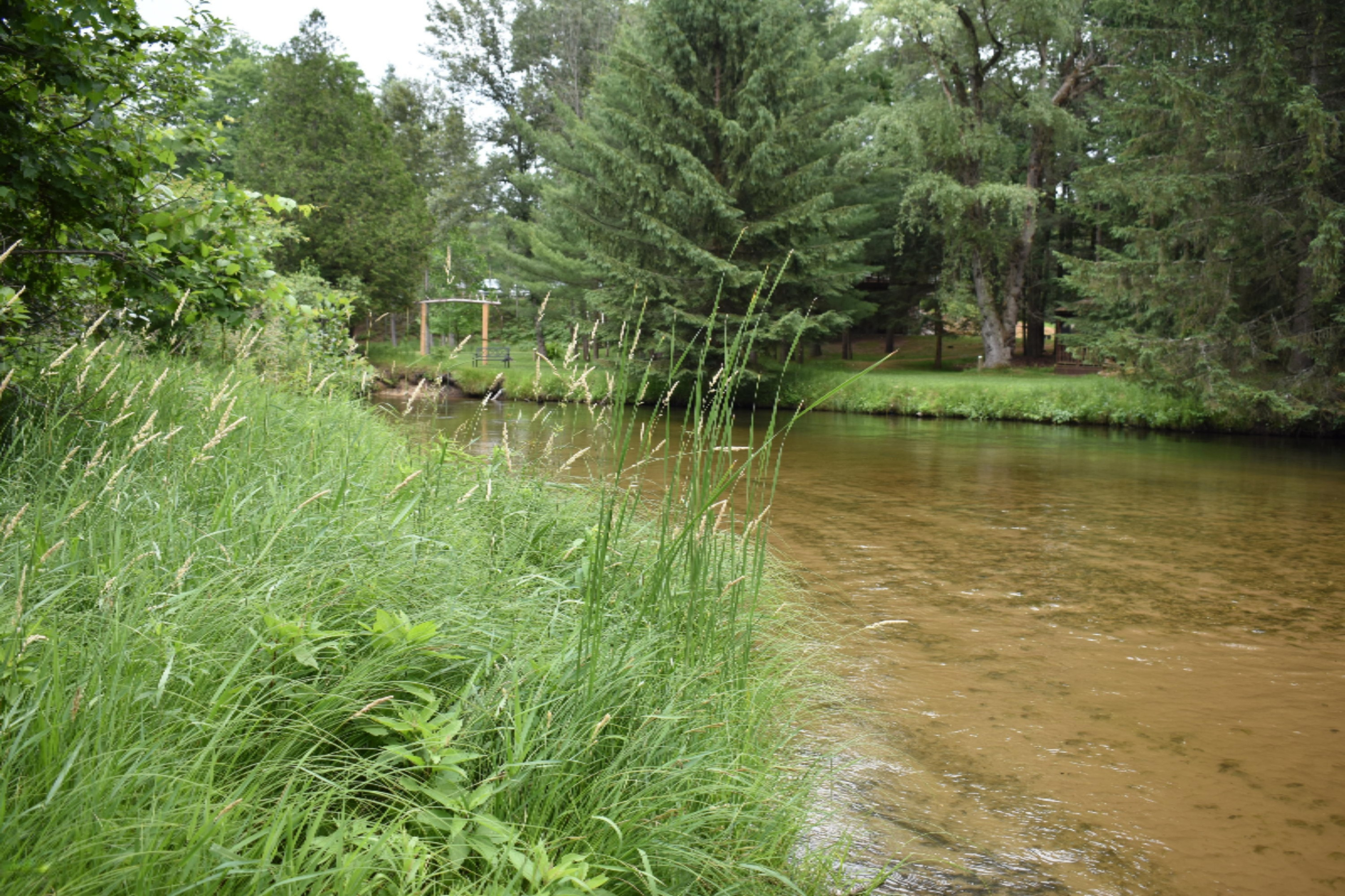 7465 A Road Branch, MI 49402 - Photo 9 of 36 DSC_0603
