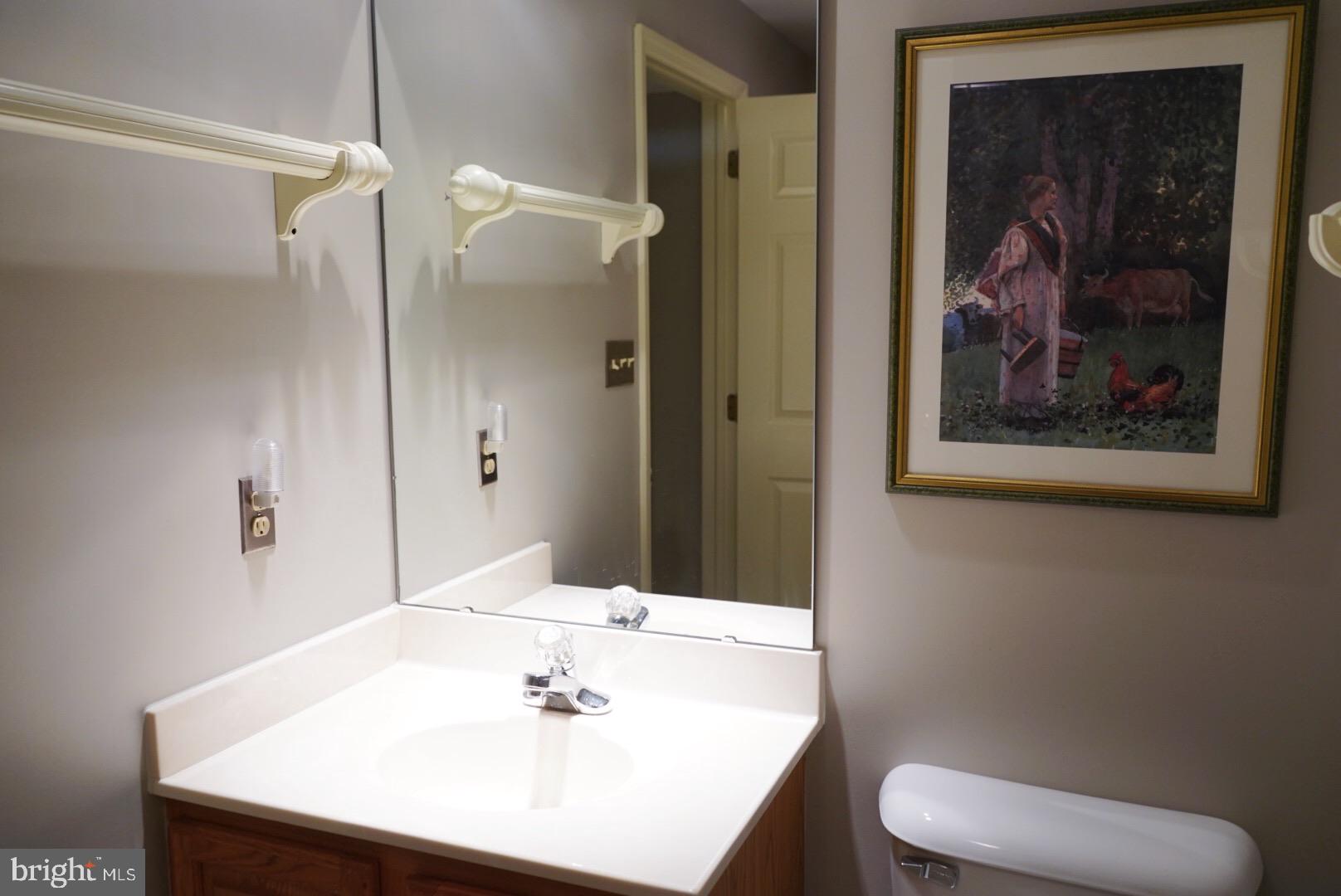 7863 Hickory Road Stewartstown, PA 17363 - Photo 31 of 41 Downstairs full bath