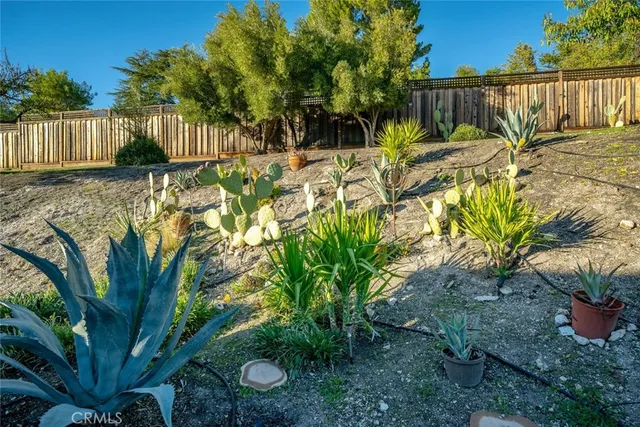 a view of outdoor space yard and patio