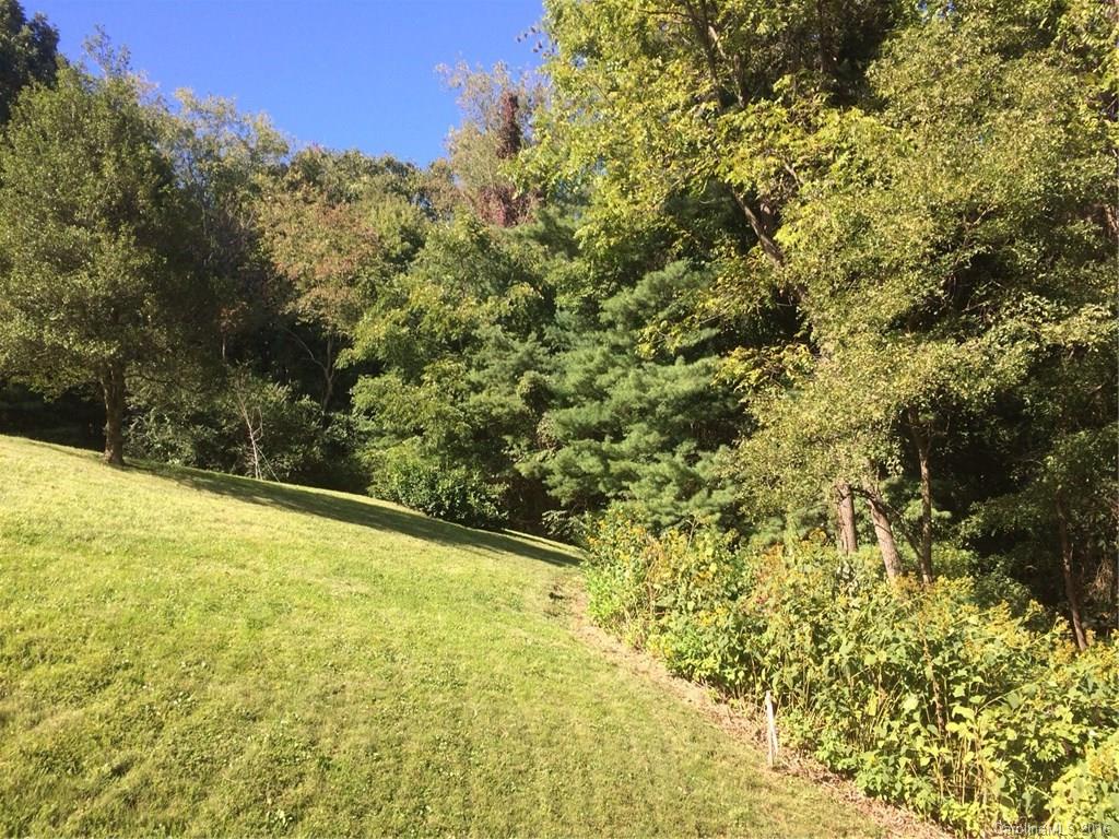 17 Mayfield Road Asheville, NC 28804 - Photo 2 of 7 Gallery Image 2