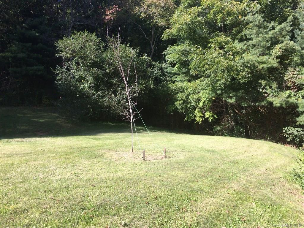 17 Mayfield Road Asheville, NC 28804 - Photo 3 of 7 Gallery Image 3