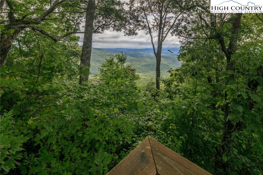 1565 Blackberry Road Boone, NC 28607 - Photo 43 of 50 Gallery Image 43