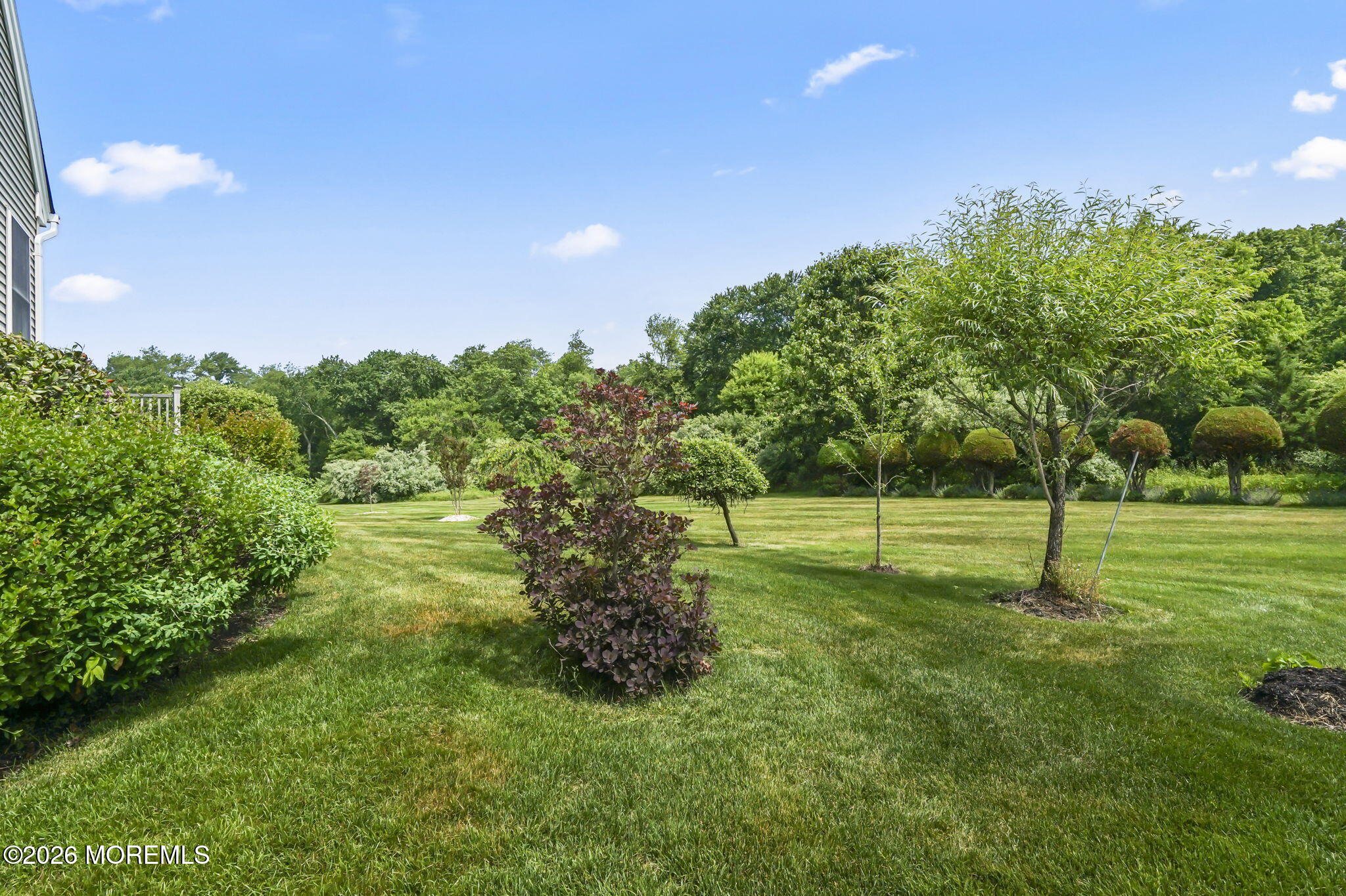 47 Yates Road Manalapan, NJ 07726 - Photo 27 of 46 Yard
