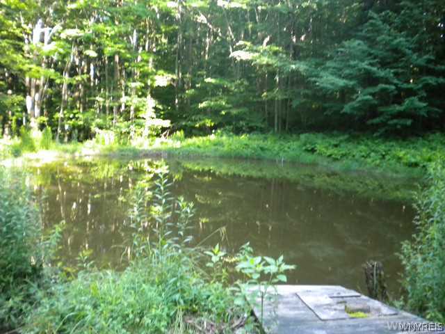 3701 Ricely Drive Machias, NY 14101 - Photo 1 of 1 Waterfront