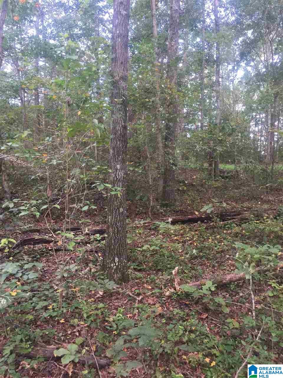 241 Sulphur Springs Road, Unit 9 89 ACRES Lincoln, AL 35096 - Photo 12 of 44