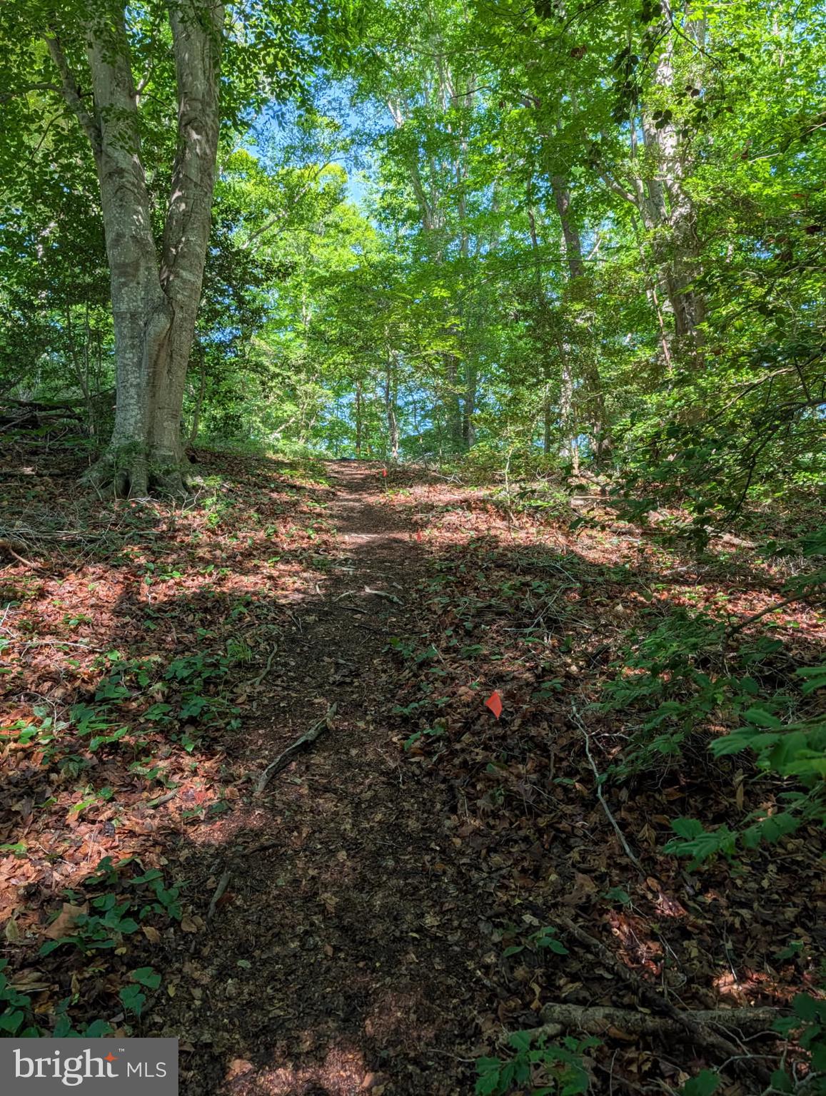 4631 Nomini Hall Road Hague, VA 22469 - Photo 59 of 62