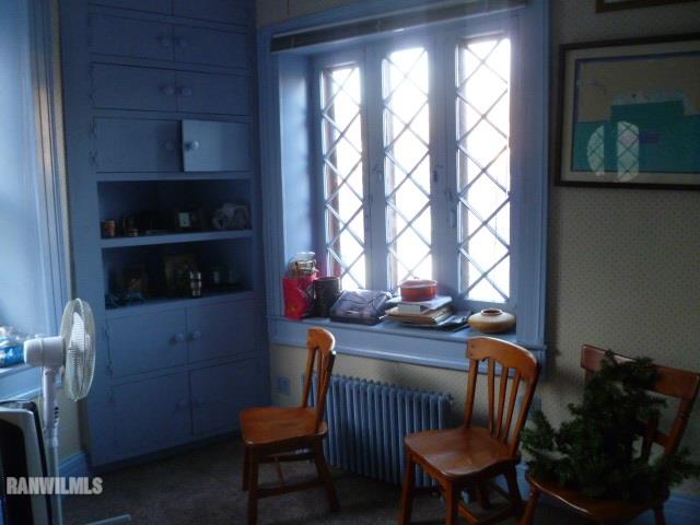 418 Spring Street Galena, IL 61036 - Photo 20 of 36 Gallery Image 20