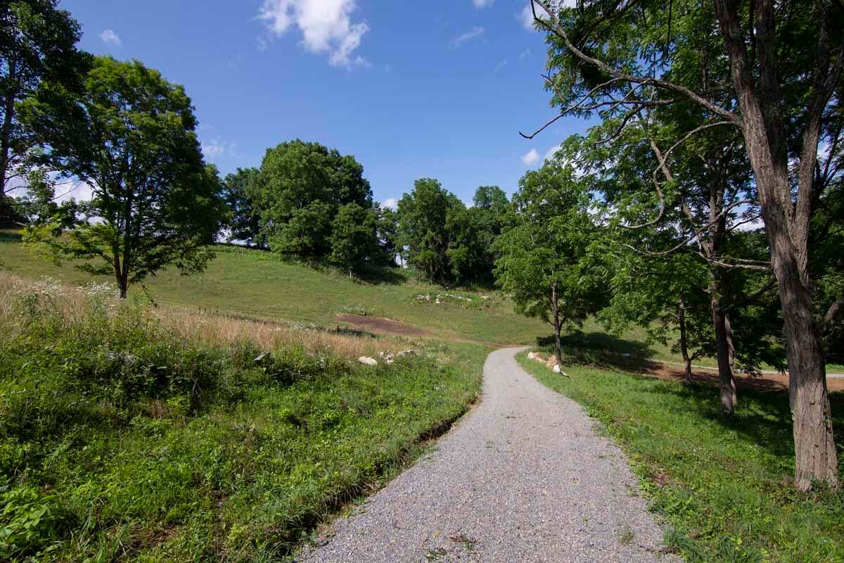Rich Hollow Road Lewisburg, WV 24901 - Photo 18 of 59 Gallery Image 18