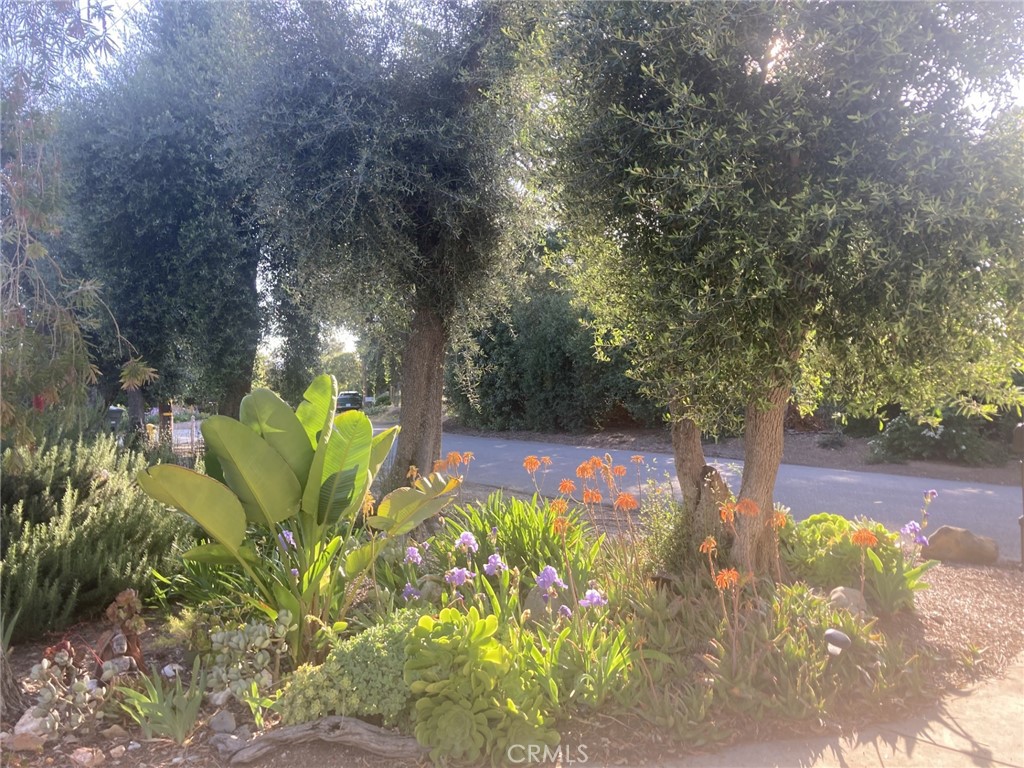 240 Portal Street Oak View, CA 93022 - Photo 11 of 75