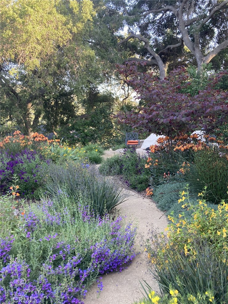 240 Portal Street Oak View, CA 93022 - Photo 12 of 75 a view of a garden with a flower garden