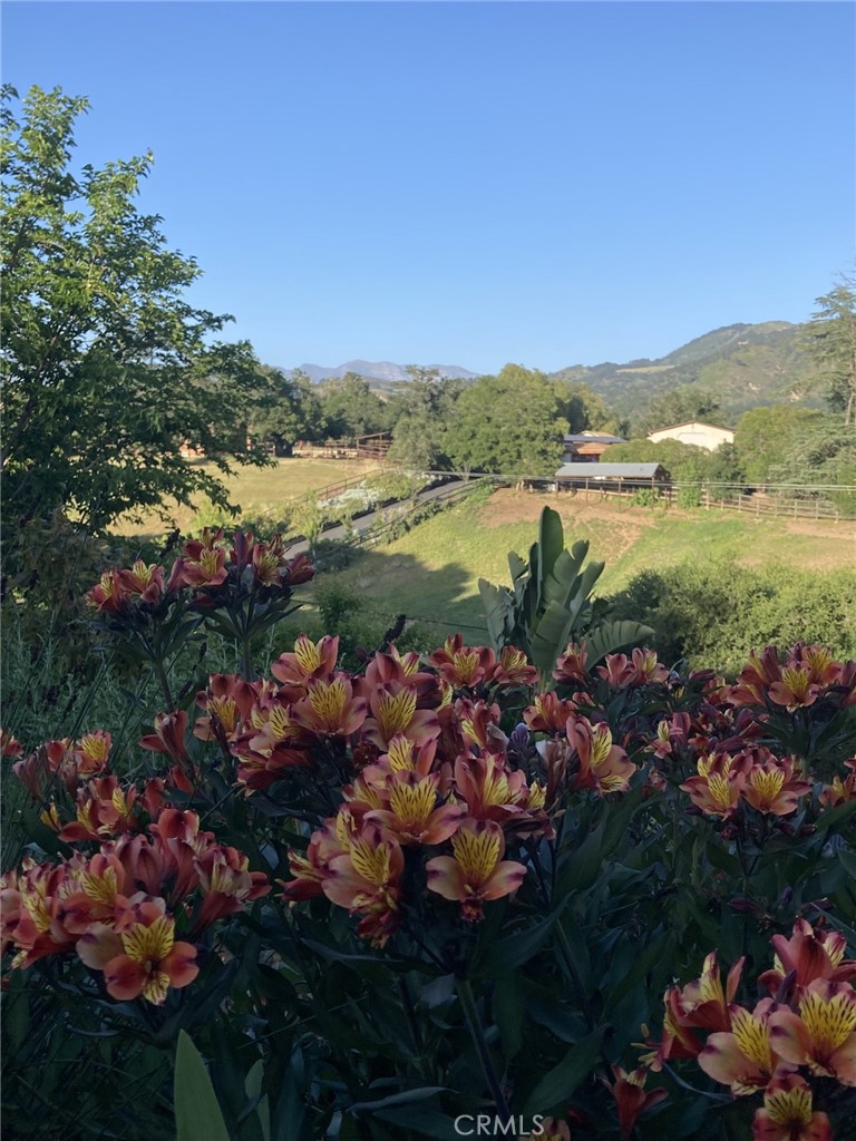 240 Portal Street Oak View, CA 93022 - Photo 13 of 75