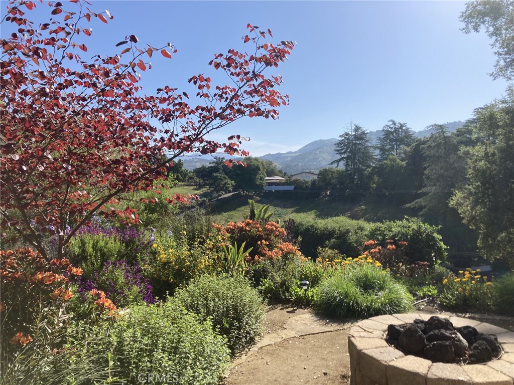 240 Portal Street Oak View, CA 93022 - Photo 16 of 75 a view of a tree in a field