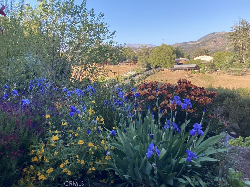 240 Portal Street Oak View, CA 93022 - Photo 5 of 75