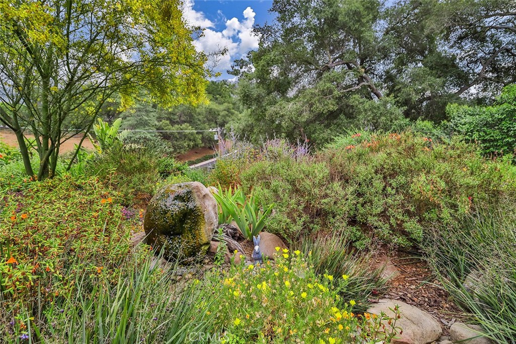 240 Portal Street Oak View, CA 93022 - Photo 69 of 75 a view of a garden with plants and large trees