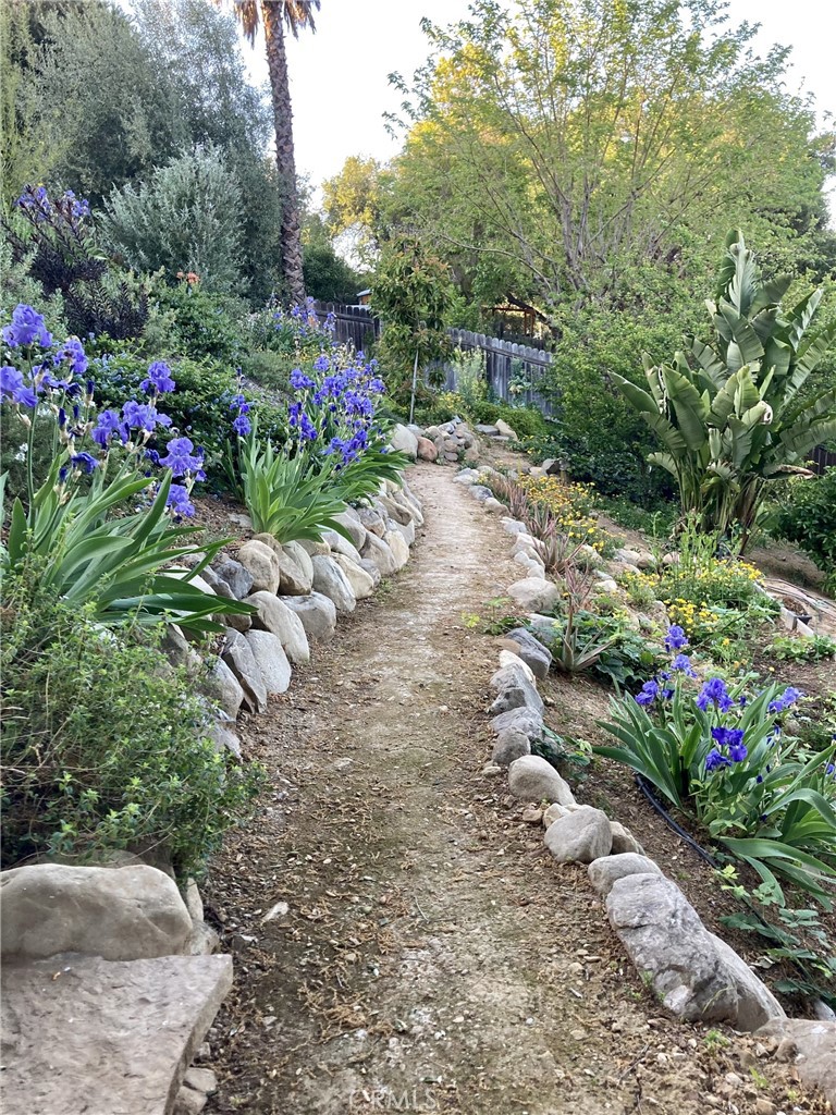 240 Portal Street Oak View, CA 93022 - Photo 9 of 75 a view of a garden with flowers and flowers