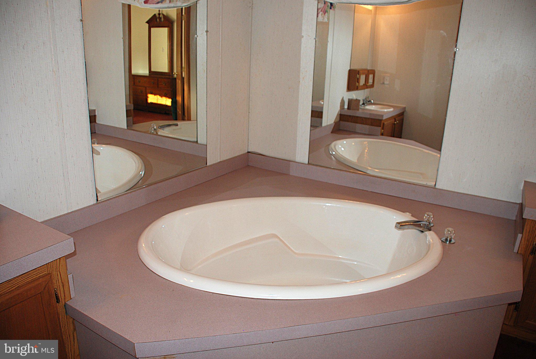 4508 Lewiston Road Bumpass, VA 23024 - Photo 65 of 84 Elegant bathroom with a spacious tub.