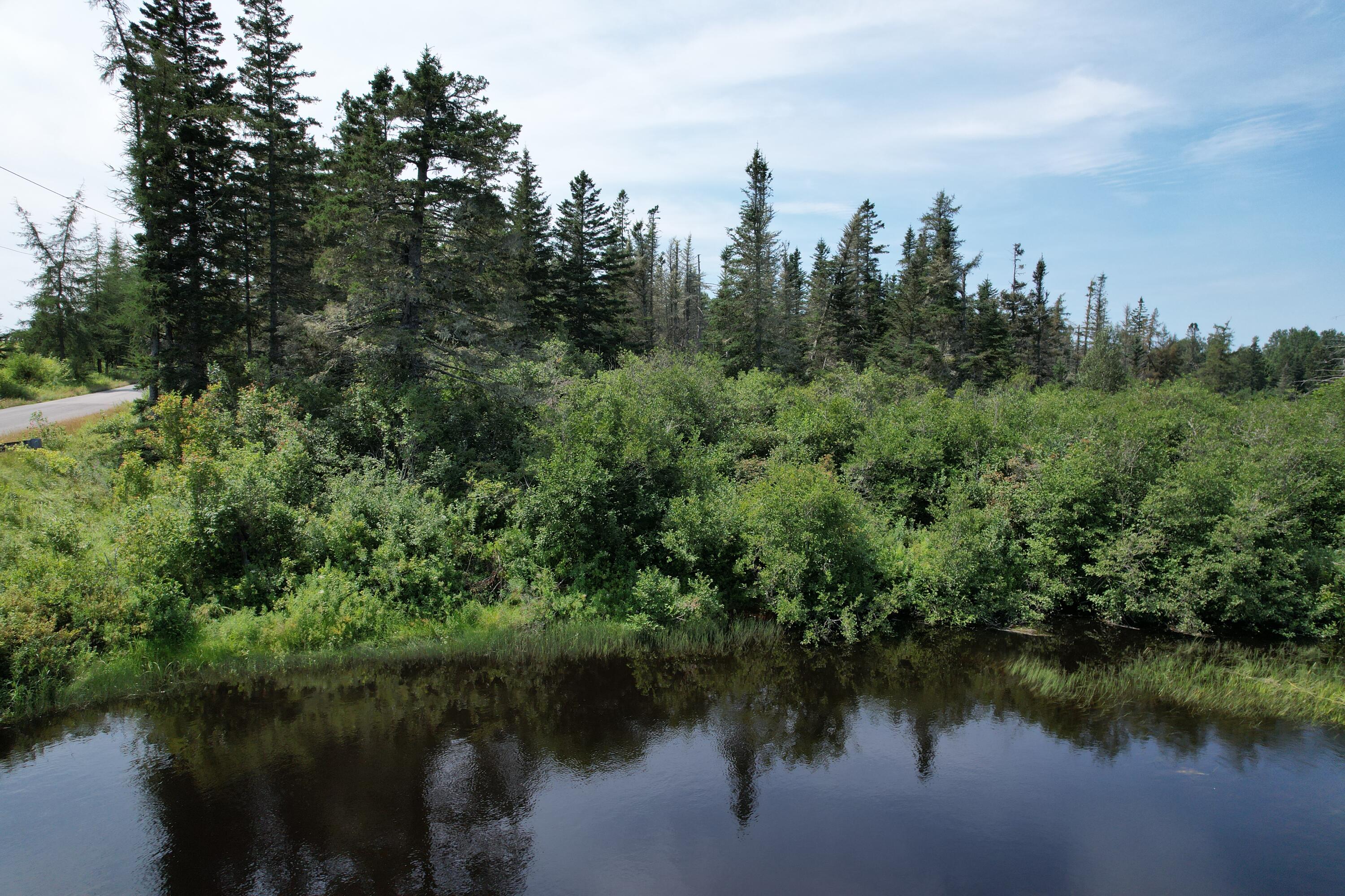 Lot 9 Wilcox Road Lubec, ME 04652 - Photo 25 of 29 DJI_0307