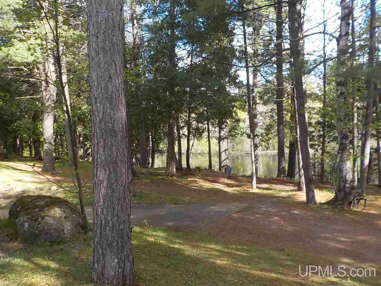 378 Paint River Road Crystal Falls, MI 49920 - Photo 50 of 66 Gallery Image 50