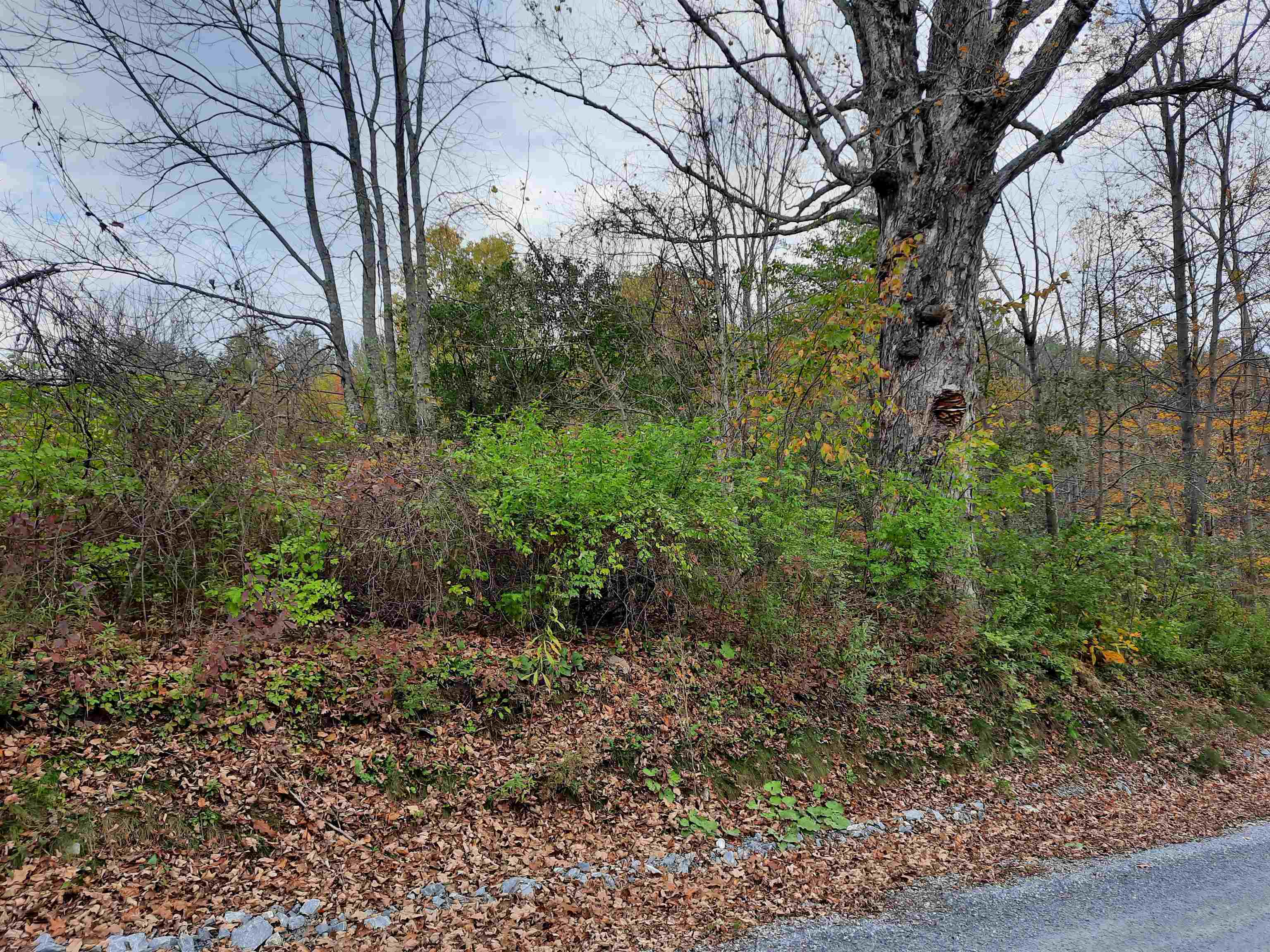 Lot 2 Wideawake Road Manchester Center, VT 05255 - Photo 1 of 1 Gallery Image 1