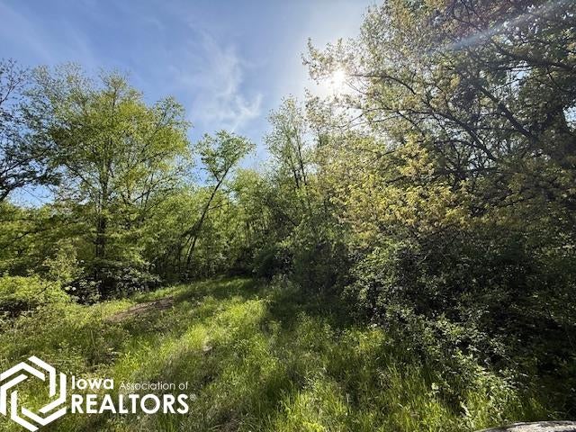 Salem Road New London, IA 52645 - Photo 15 of 34 Gallery Image 15