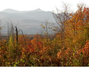 - Robtoy Road Lowell, VT 05847 - Photo 1 of 22