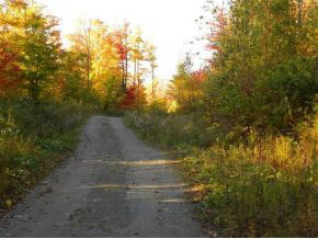 - Robtoy Road Lowell, VT 05847 - Photo 2 of 22