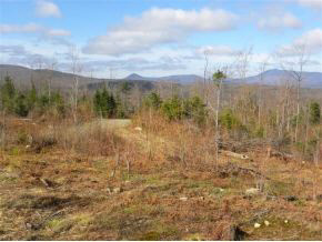 - Robtoy Road Lowell, VT 05847 - Photo 11 of 22