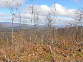 - Robtoy Road Lowell, VT 05847 - Photo 14 of 22