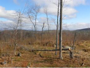 - Robtoy Road Lowell, VT 05847 - Photo 15 of 22