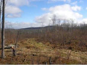 - Robtoy Road Lowell, VT 05847 - Photo 16 of 22